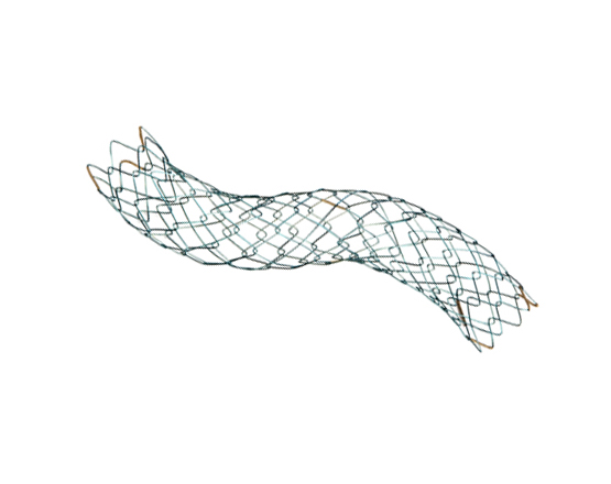 Niti-S Biliary Uncovered Stent [LCD-Type]