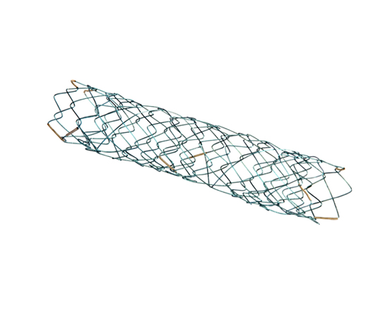 Niti-S Biliary Uncovered Stent [LCD-Type]