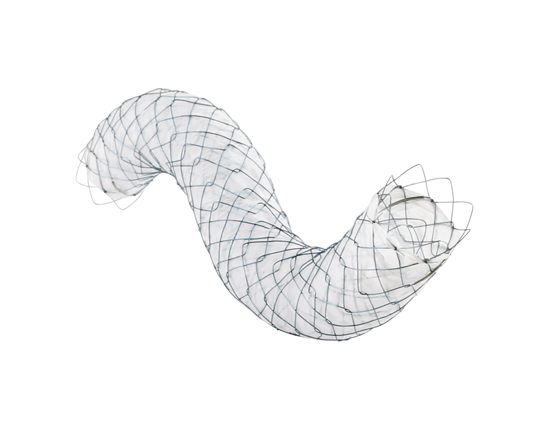 ComVi Biliary Stent