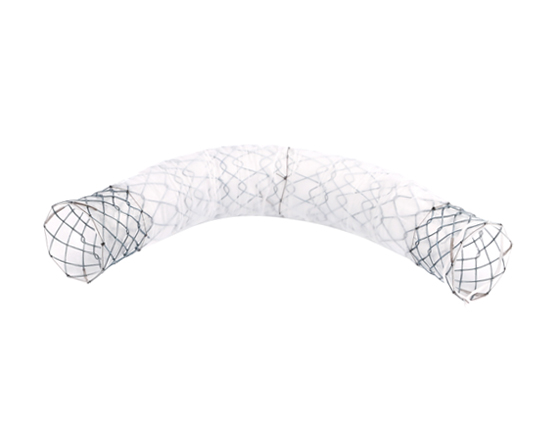 Niti-S Biliary Covered Stent [Bumpy]
