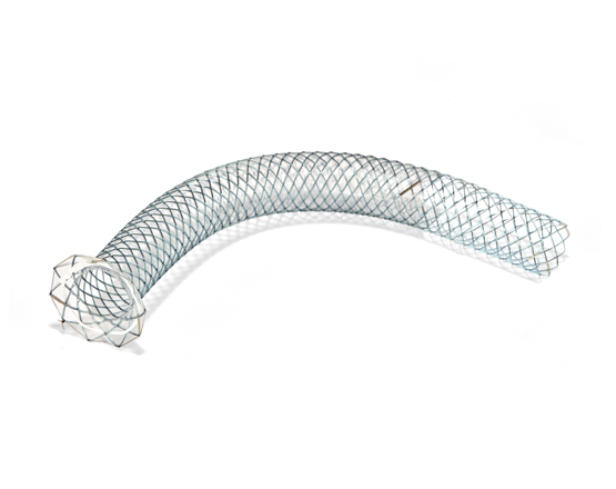 Niti-S Biliary Covered Stent [Giobor]