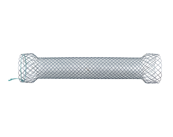Niti-S Esophageal  Covered Stent [Both Bare-Type]