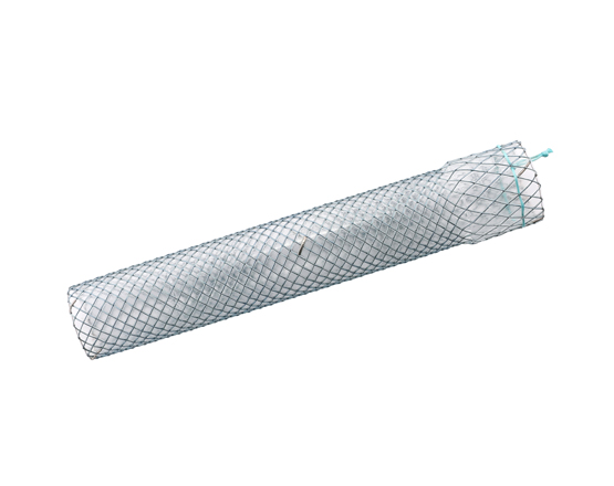 Niti-S Esophageal  Covered Stent [Conio]