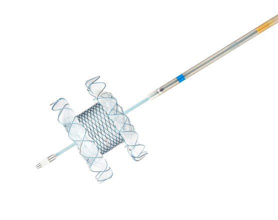 Niti-S HOT SPAXUS Stent