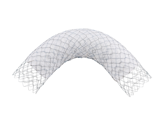 ComVi Pyloric/Duodenal Stent [Both Bare-Type]