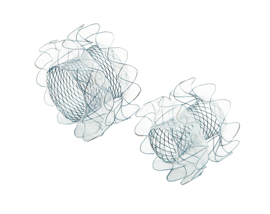 Niti-S SPAXUS Stent