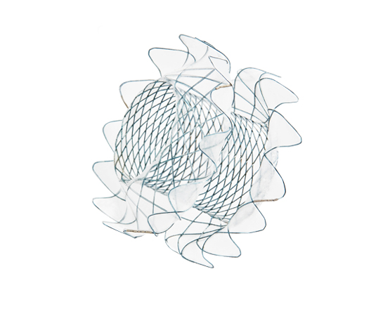 Niti-S SPAXUS Stent