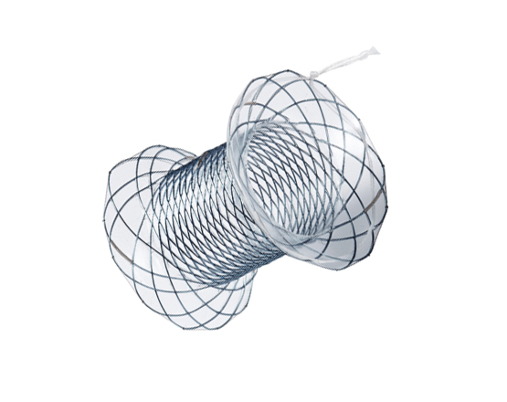 Niti-S Nagi Stent