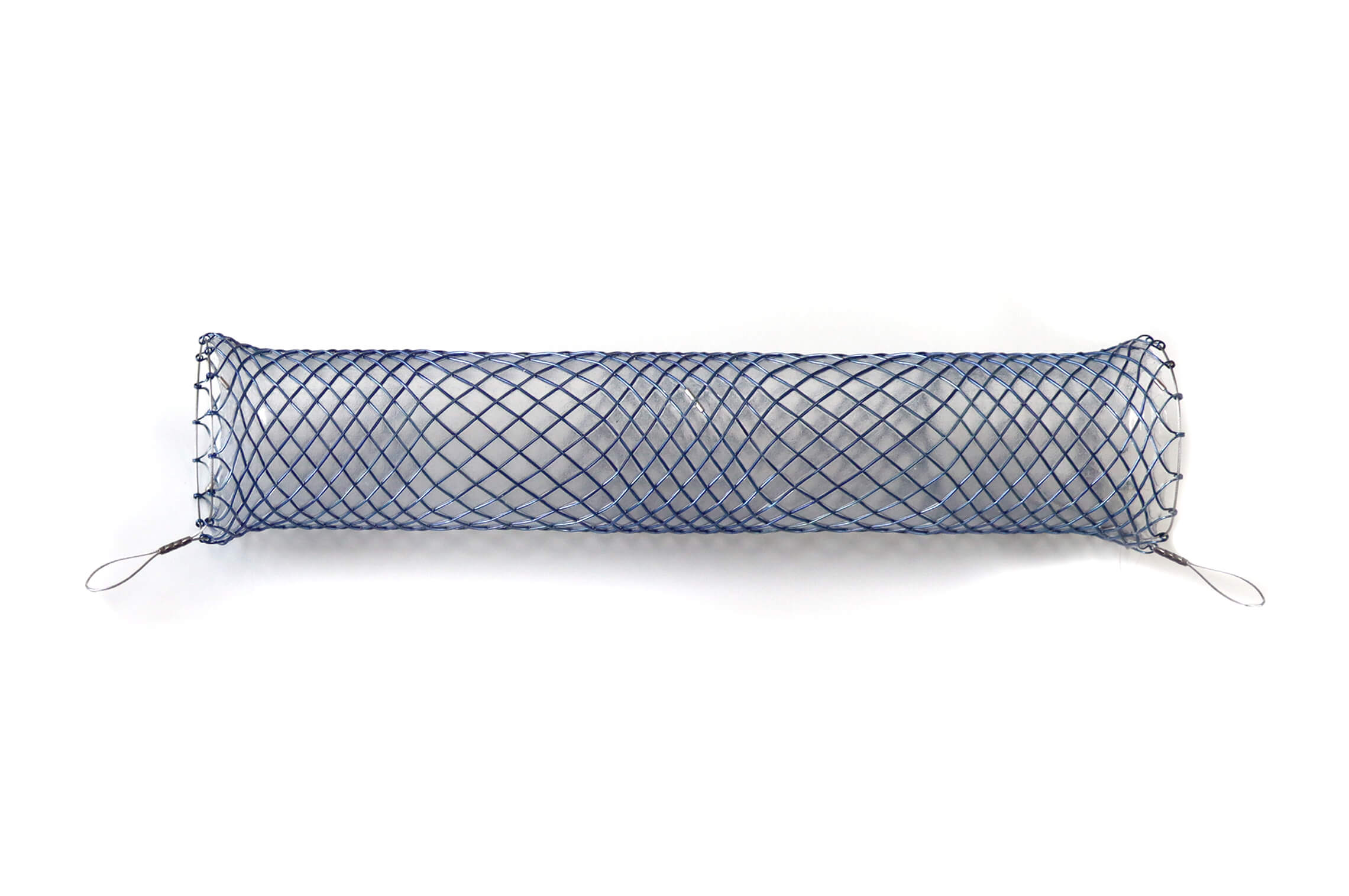 Danis Stent