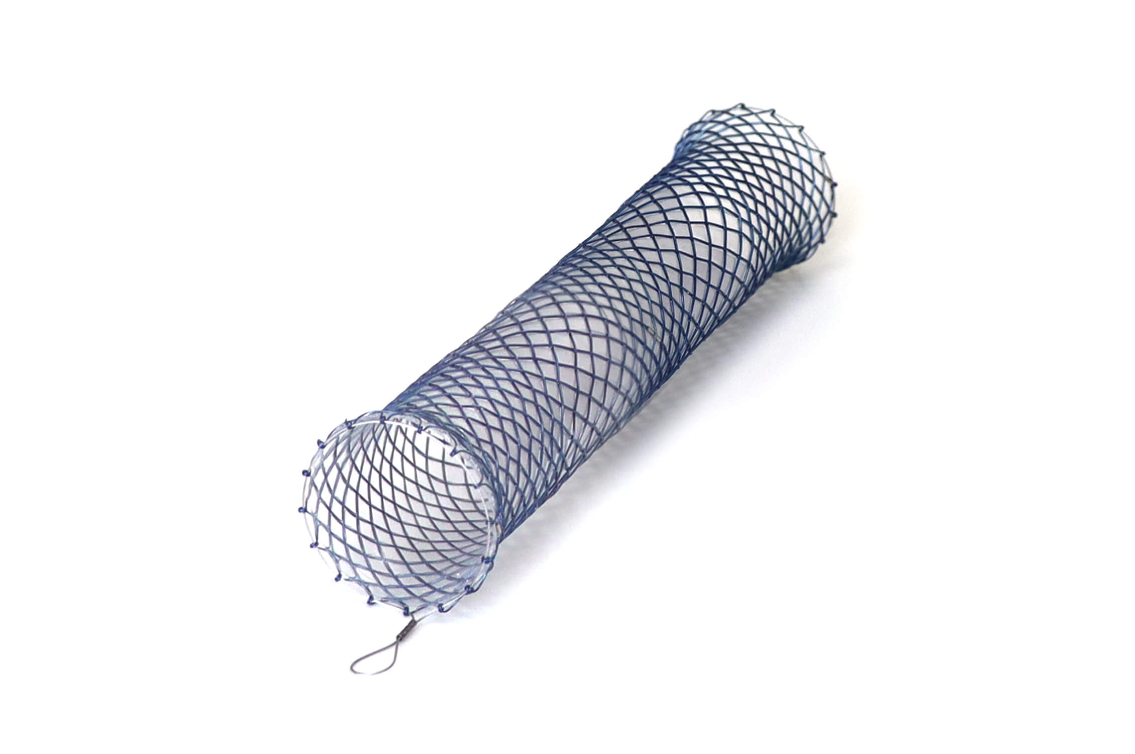 Danis Stent