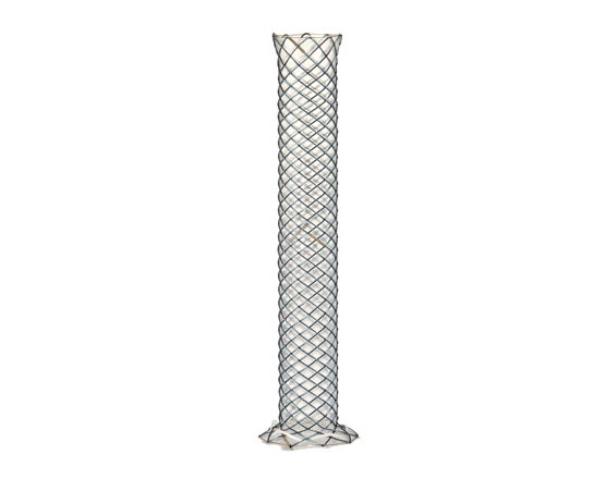 Niti-S Biliary Covered Stent [Flare-Type]